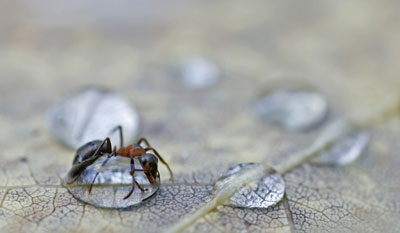 Foto: Towe Wiiand Foto: Towe Wiiand